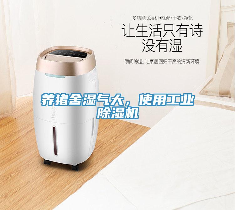 養(yǎng)豬舍濕氣大，使用工業(yè)除濕機(jī)