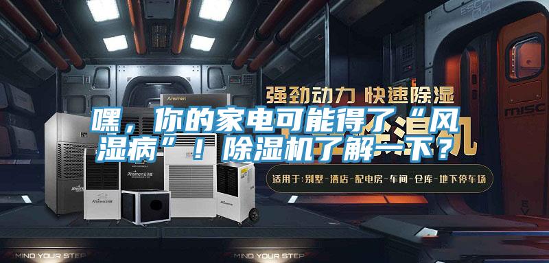 嘿，你的家電可能得了“風(fēng)濕病”！除濕機(jī)了解一下？