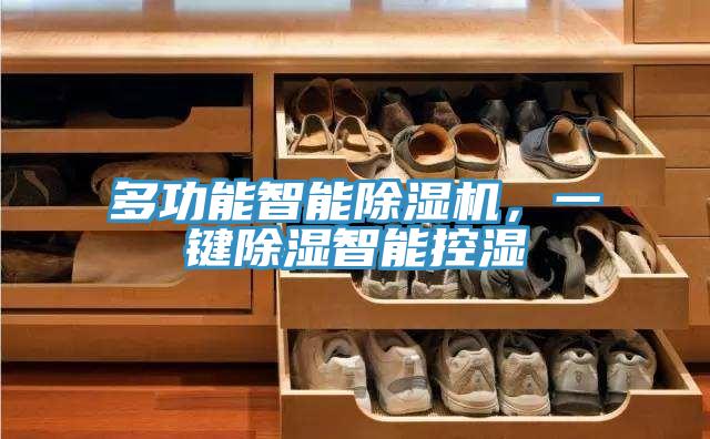 多功能智能除濕機，一鍵除濕智能控濕
